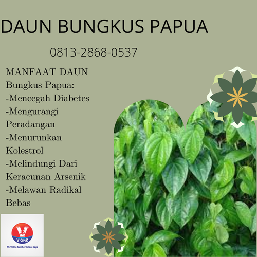 desain daun bungkus papua.png