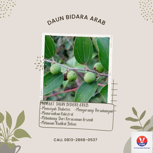 desain daun bidara arab.png
