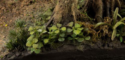 242537330 4656434817733848 8146210097570797868 n.jpg