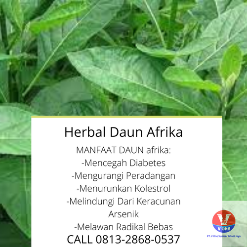 desain daun afrika.png