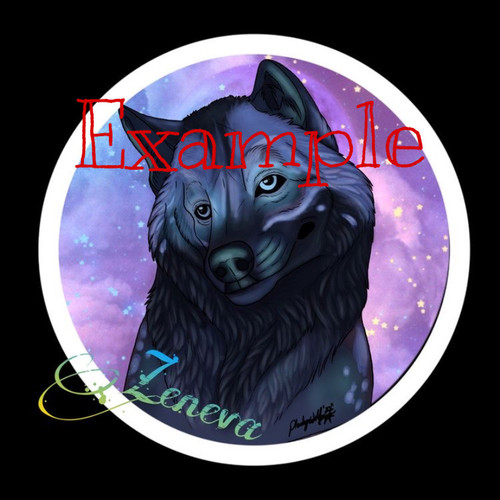 72660AE7 2597 4F45 89D6 CC099D682C79.jpg