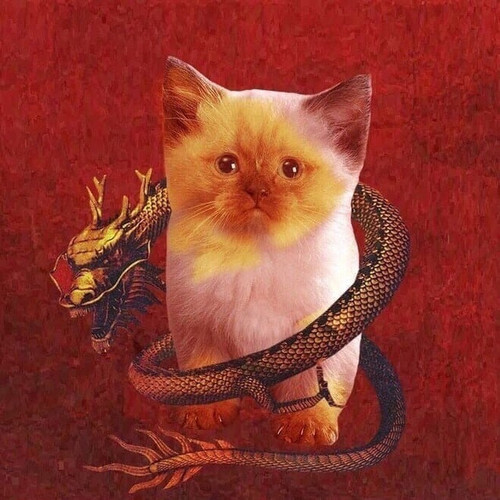 photo 2022 11 15 05 14 55.jpg