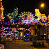 tihar celebration (2)