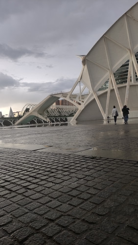 IMG 20221111 161036.jpg