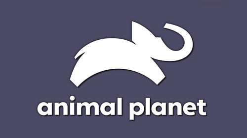 ANIMALPLANET Logo 1440p.jpg