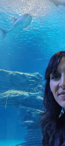 IMG 20221111 141547.jpg