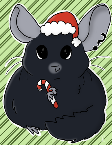 Untitled Artwork 3 (3).png