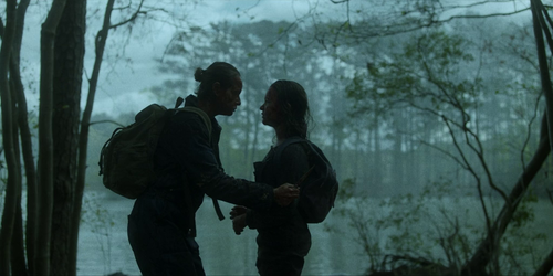 vlcsnap 2022 11 14 19h56m41s231.png