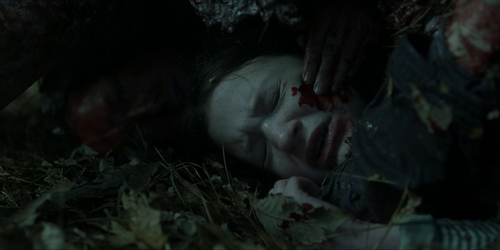 vlcsnap 2022 11 14 19h56m31s425.png