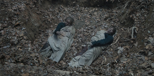 vlcsnap 2022 11 14 19h58m41s702.png