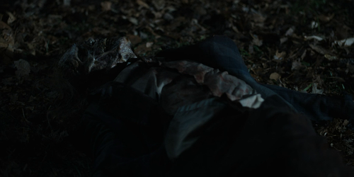 vlcsnap 2022 11 14 19h53m01s758.png