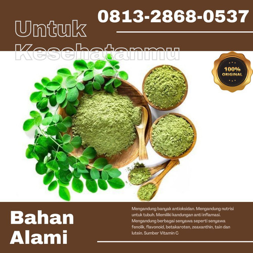 Pusat Budidaya Herbal Daun Kelor laut Tambak Bayuma.jpg