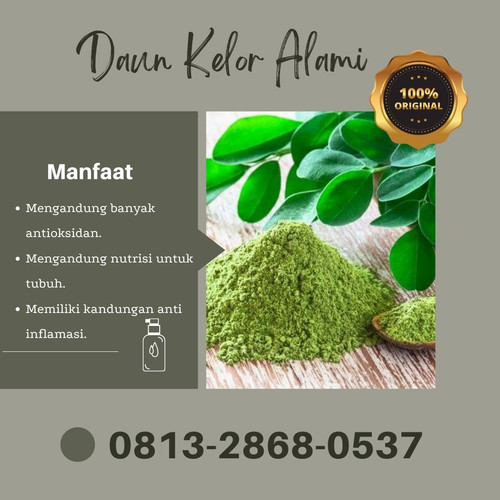 Pusat Budidaya Herbal Daun Kelor lengkap atau tidak Tambak Bayumas.jpg