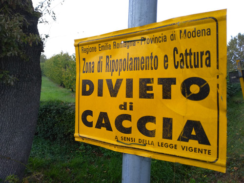 IMG 20191002 103349.jpg