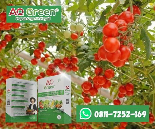 PANEN BAGUS, Call WA 0811 7252 169 Toko pupuk organik guano kelelawar di Lampung Timur.jpg