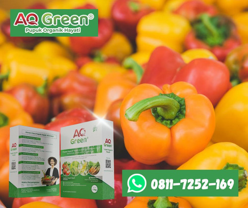 BERKUALITAS, Call WA 0811 7252 169 Grosir pupuk organik granular di Lampung Timur.jpg