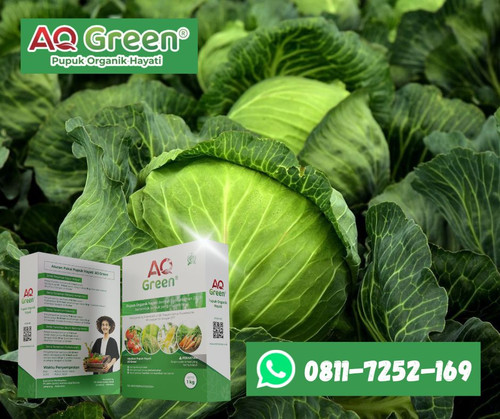 BELI SEKARANG, Call WA 0811 7252 169 Distributor pupuk organik granule di Lampung Timur.jpg