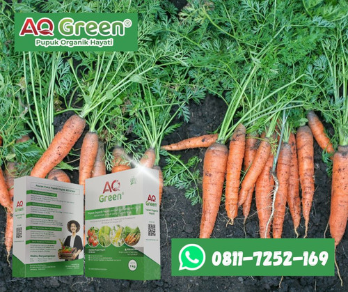 PUPUK TERBAIK, Call WA 0811 7252 169 Grosir pupuk organik humat pro di Lampung Timur.jpg