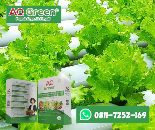 SUPER SUBUR, Call WA 0811 7252 169 Jual pupuk organik harga di Lampung Timur.jpg