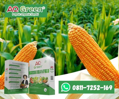 TERBAGUS, Call WA 0811 7252 169 Pabrik pupuk organik hayati di Lampung Timur.jpg