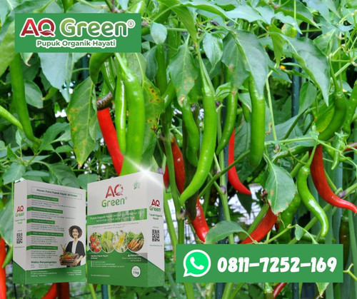 CEPAT PANEN, Call WA 0811 7252 169 Jual pupuk organik granul subsidi di Lampung Timur.jpg
