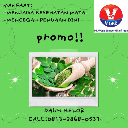Pusat Budidaya Herbal Daun Kelor Obat Gatal Tambak Bayumas.jpg
