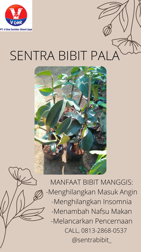 png 20221118 054613 0000.png