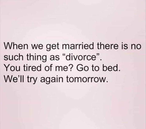 FB IMG 1668768228536.jpg