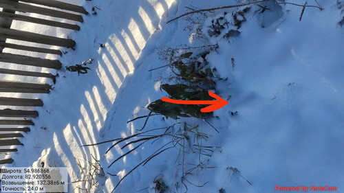 IMG 20221118 174216.jpg