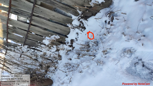 IMG 20221118 174353.jpg