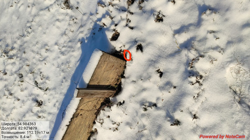 IMG 20221118 174541.jpg