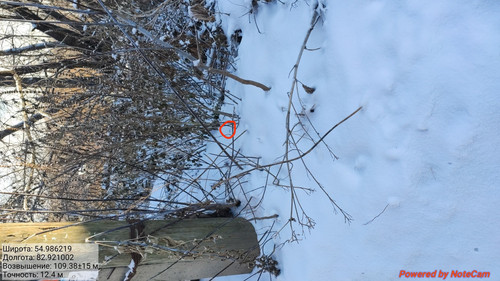 IMG 20221118 174458.jpg