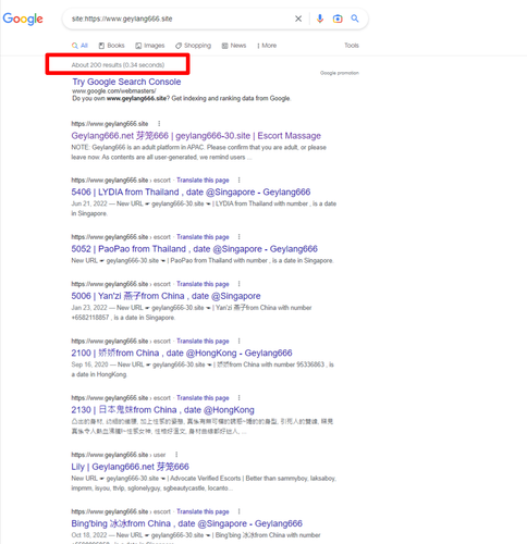site https www geylang666 site Google Search.png