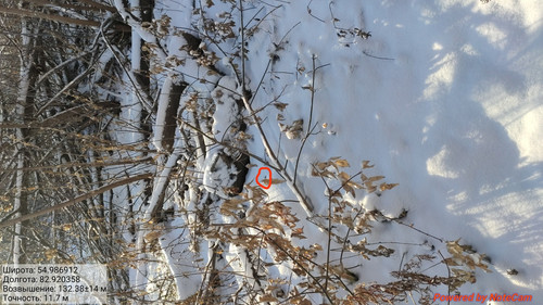 IMG 20221118 174120.jpg