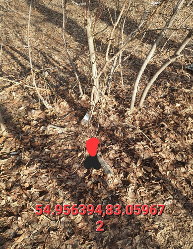 Screenshot 20221117 152812 Gallery.jpg