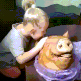 svindeva.gif