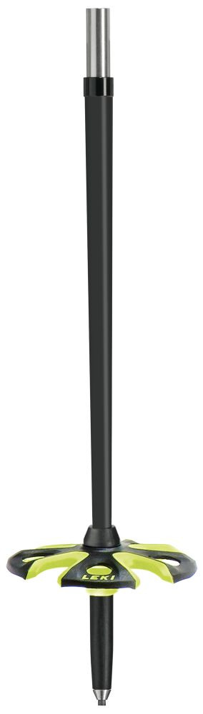 81101466512585 1.jpg