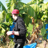 IMG 0251