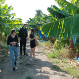 IMG 0247