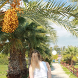 IMG 0279