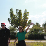 IMG 0256