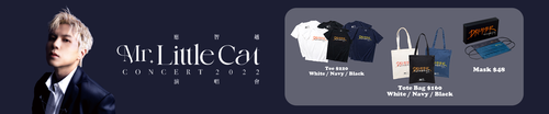 littlecat eshop website banner.png