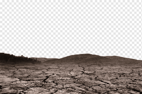 landscapae.png