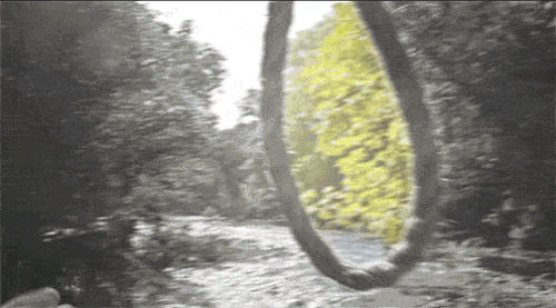 hirttos.gif