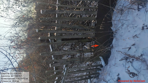 IMG 20221118 204531.jpg