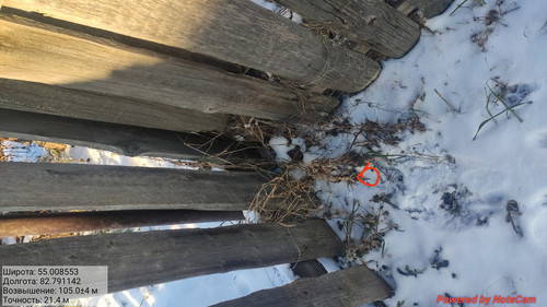 IMG 20221118 210715.jpg