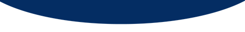 wave (1).png
