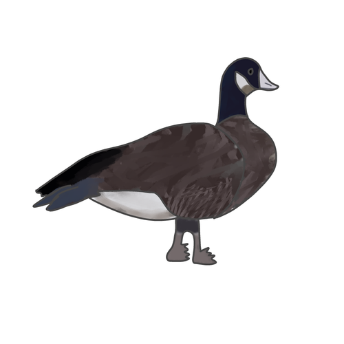 goose.png