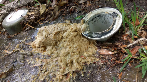 blocked drain when paper and shit mix plumbingdoctor.jpg