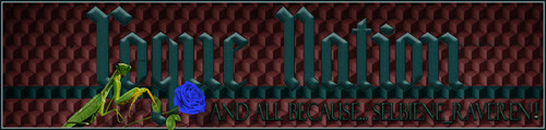 Raveren Banner.jpg